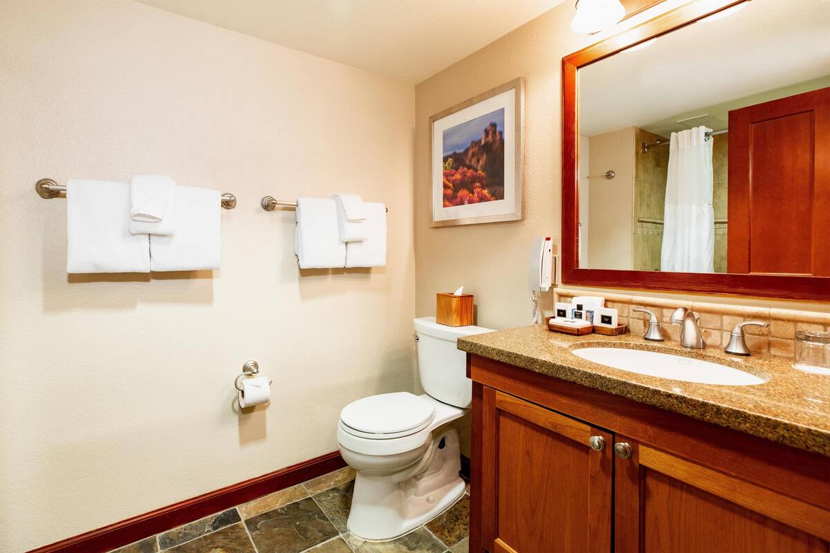 Rainfall showerhead, free toiletries, hair dryer, bathrobes