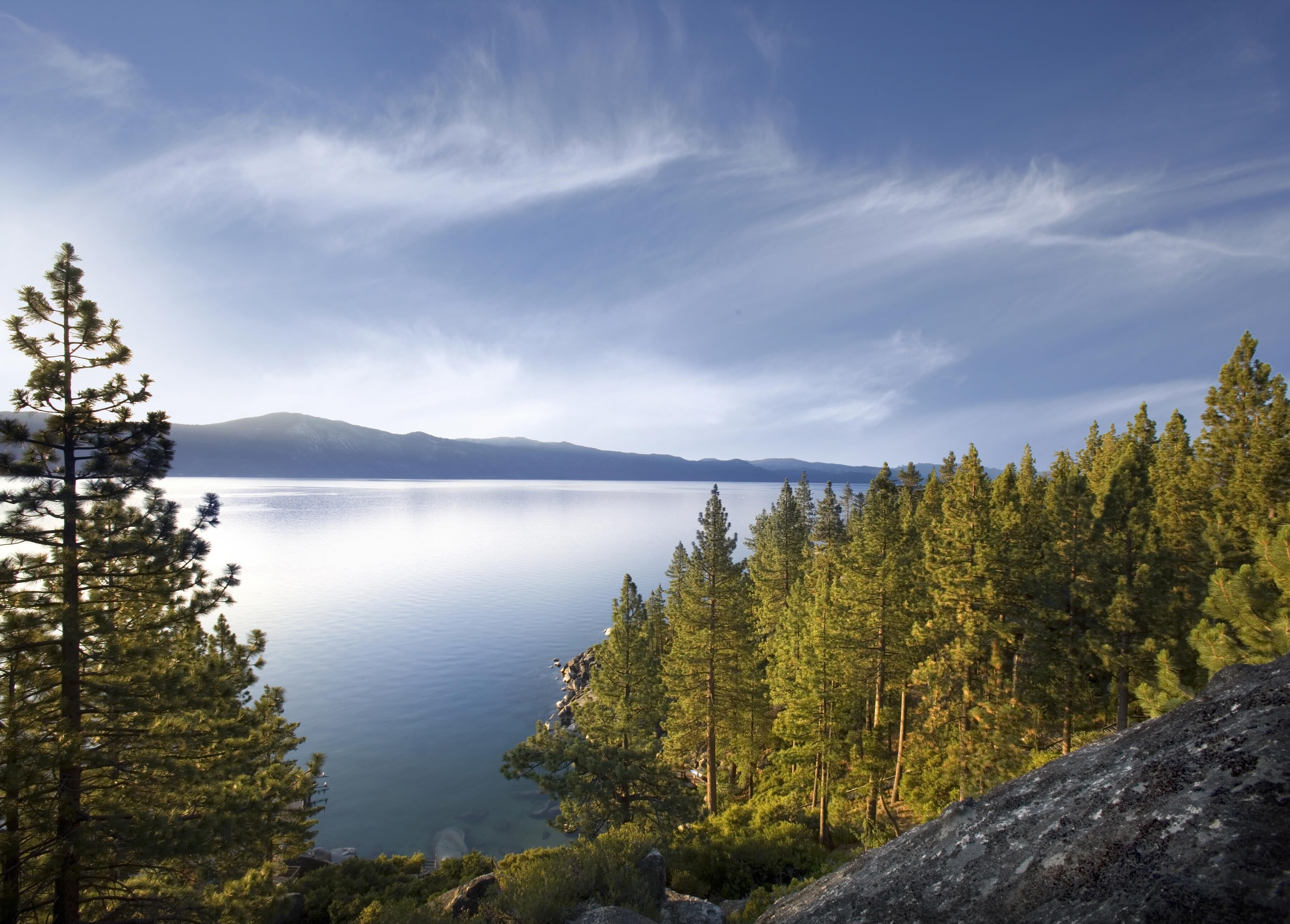 منوع
