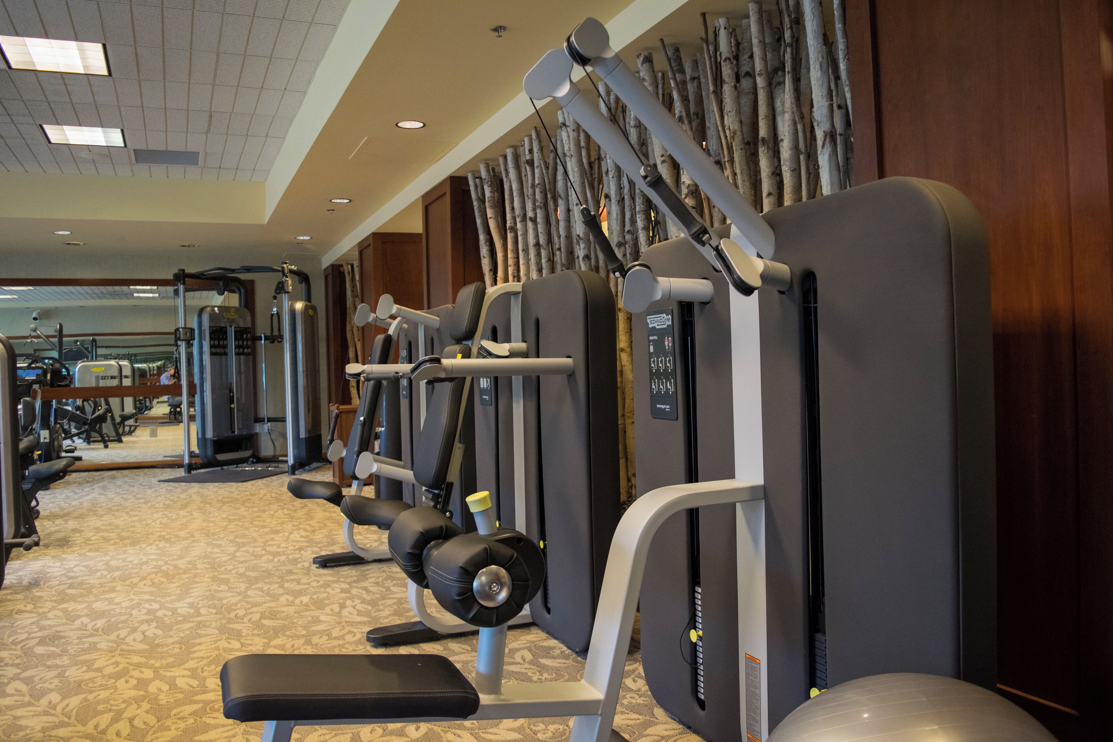 Uma academia com diversos equipamentos de exercício, um banco e um tapete estampado.