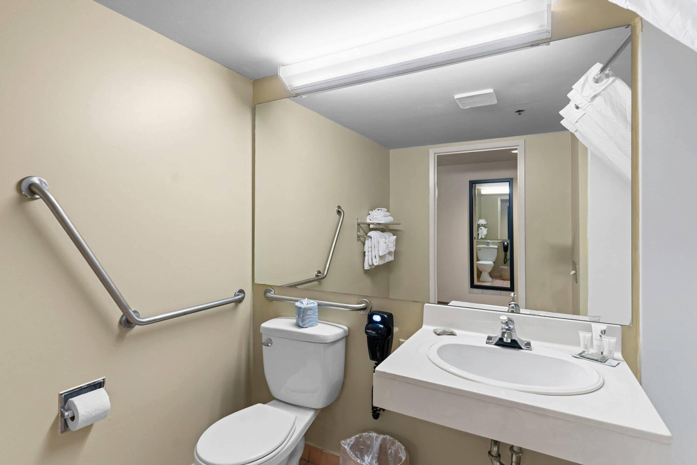 A bathroom with a toilet, a sink, a mirror, and a handrail.