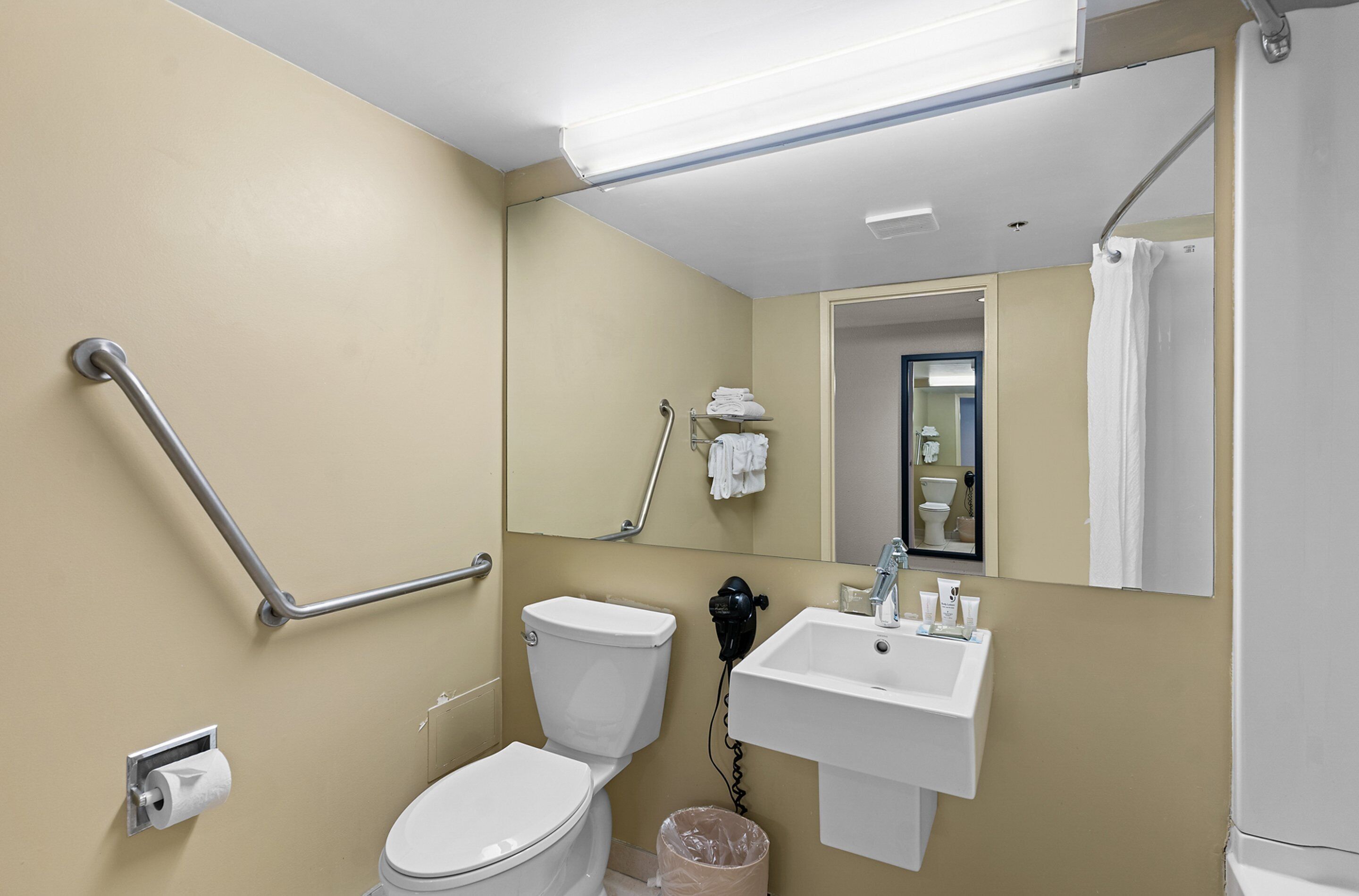 room, 1 king bed, accessible, non smoking (exterior) | bathroom | combined shower/bathtub, eco-friendly toiletries, hair dryer, towels