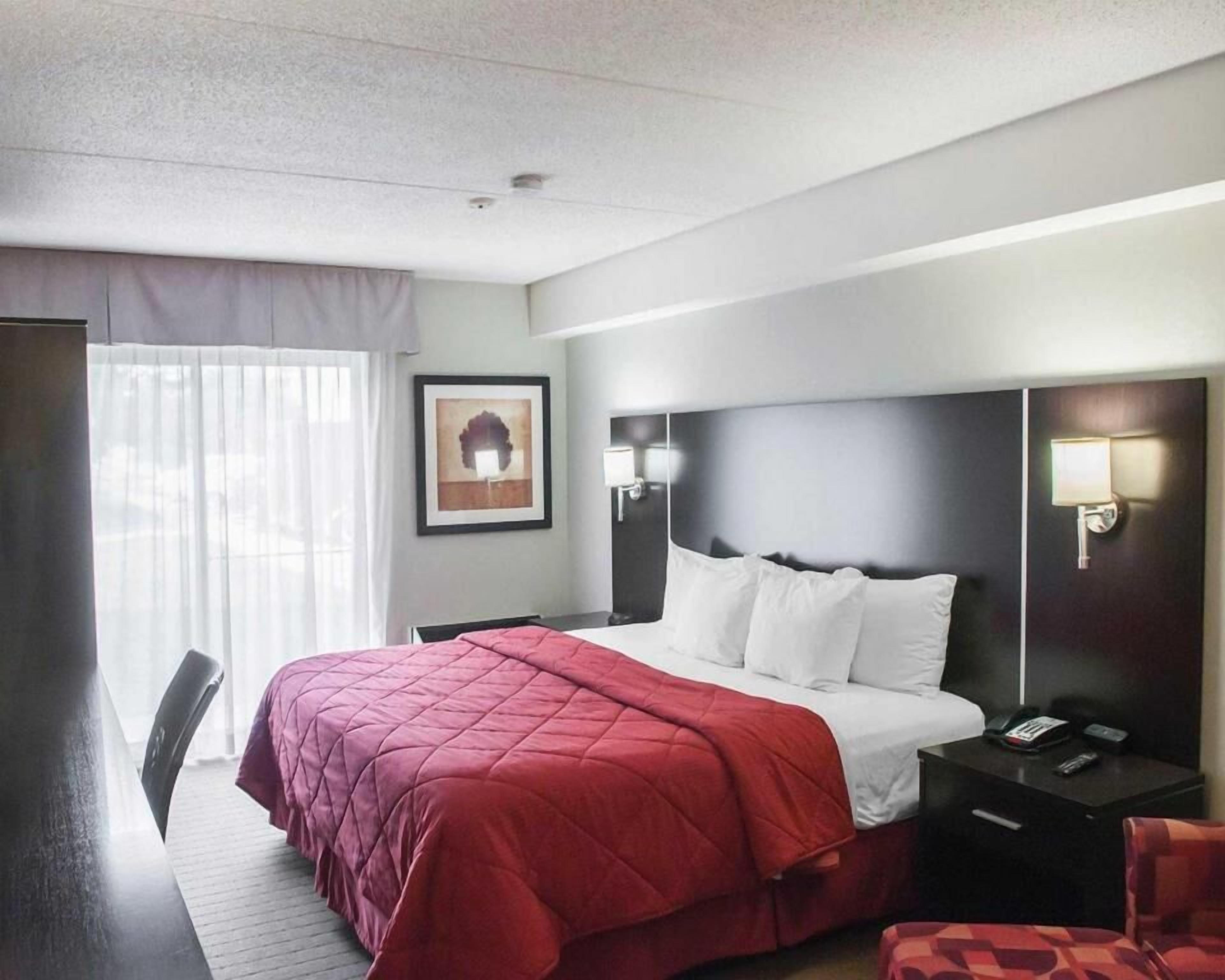 Literie hypoallergénique, bureau, rideaux d’obscurcissement