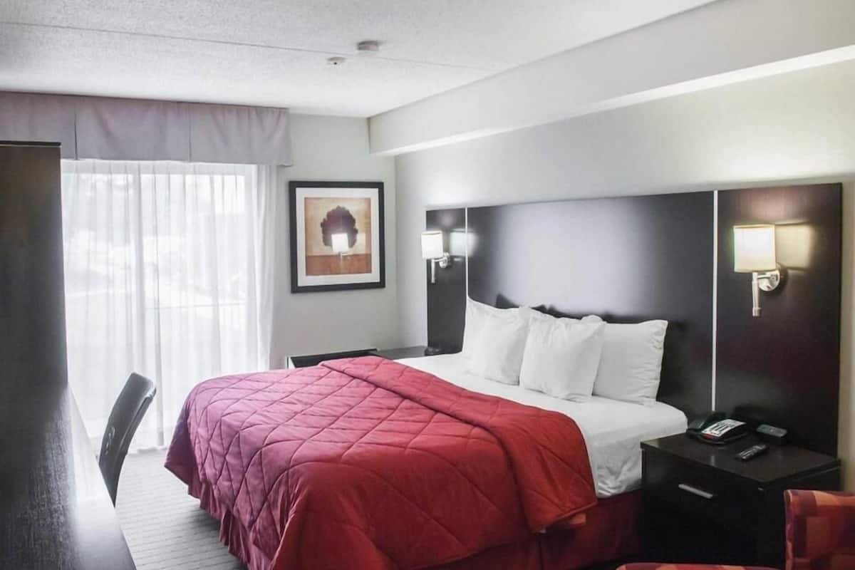 Hypo-allergenic bedding, desk, blackout drapes, soundproofing