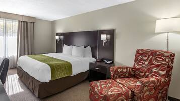A hotel room with a large bed, a nightstand with a lamp, a chair, and a desk.