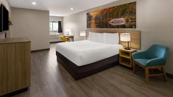 Room, 1 King Bed, Non Smoking | Iron/ironing board, free WiFi, bed sheets, alarm clocks