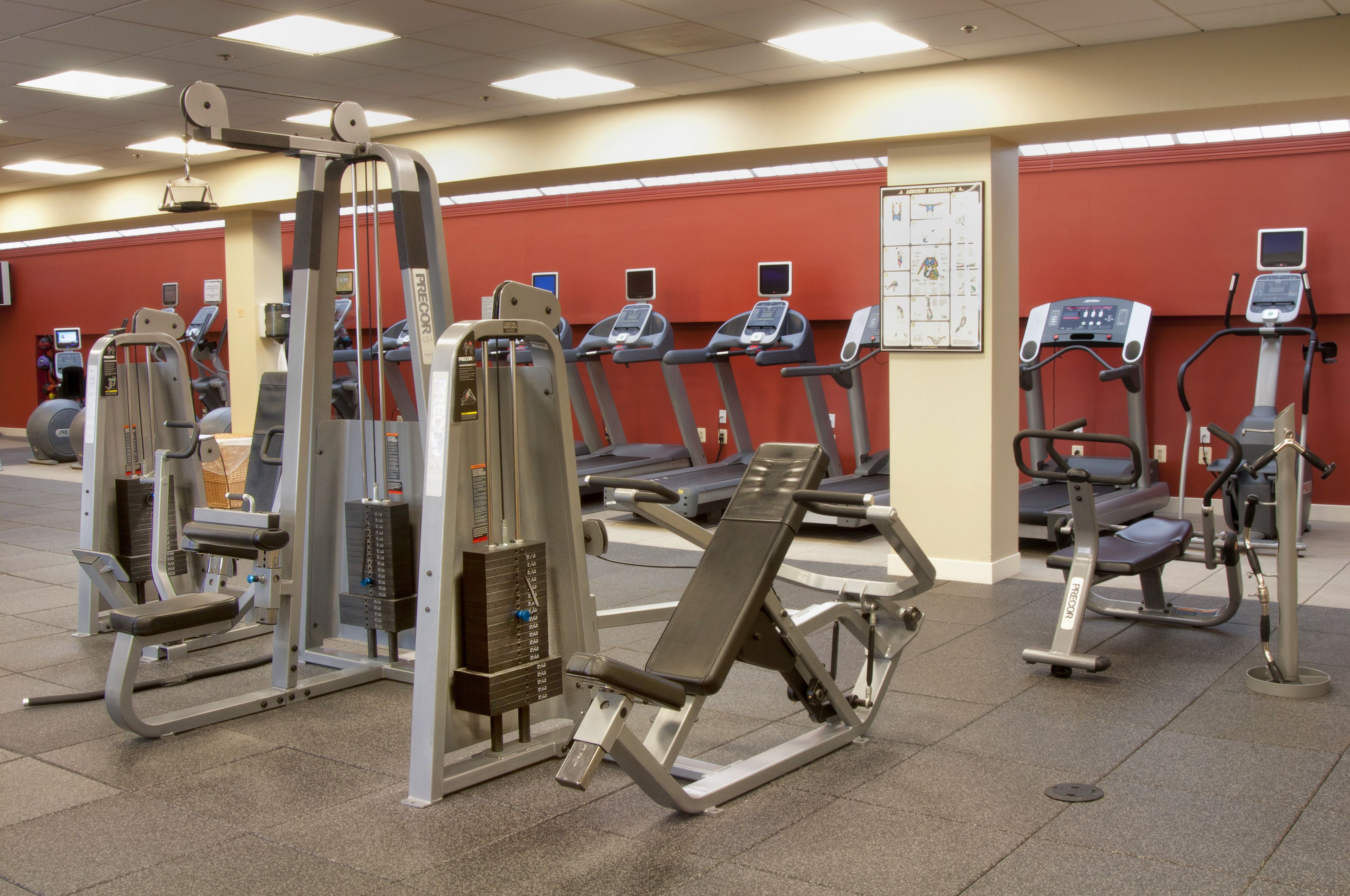 A gym with various exercise machines, including treadmills and weight machines, arranged in rows.