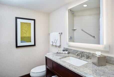 DoubleTree by Hilton Washington DC Crystal City - Image 88