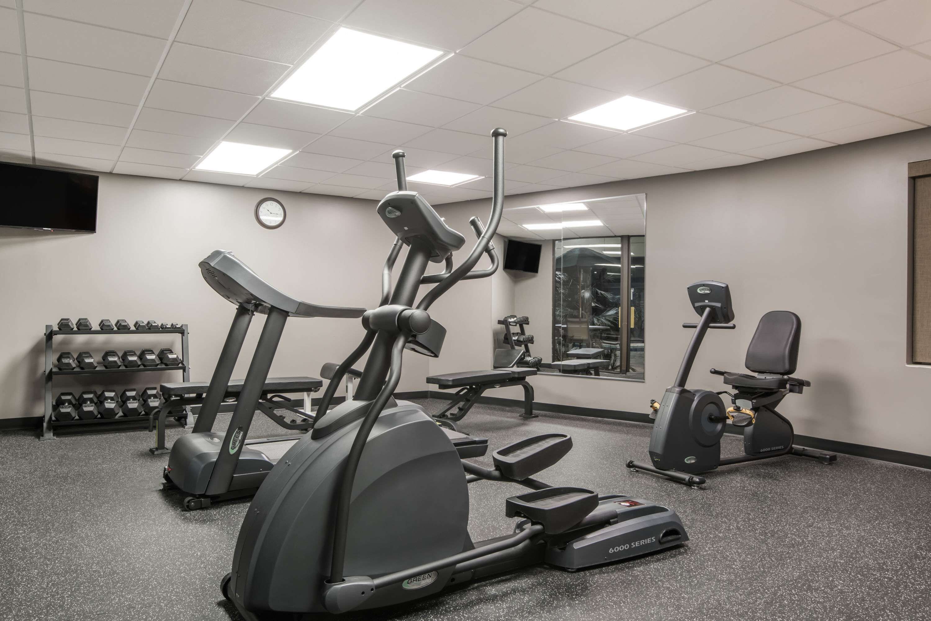A gym with treadmills, elliptical machines, and dumbbells.