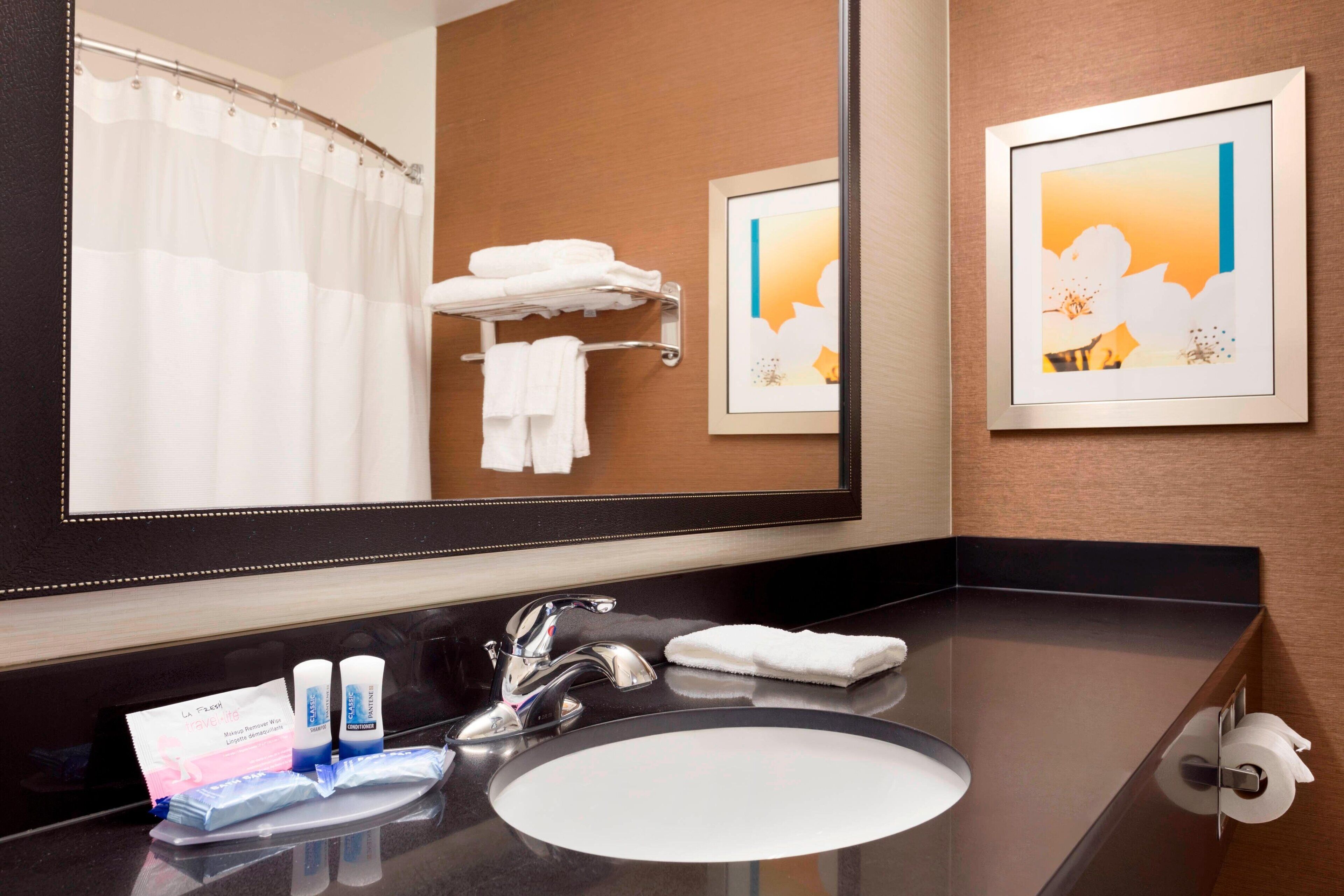 combined shower/bathtub, free toiletries, hair dryer, towels