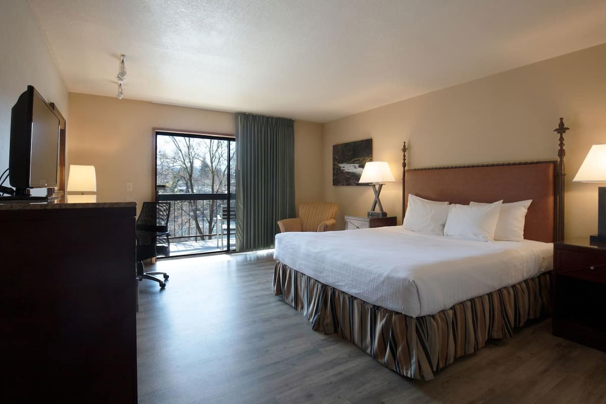 A hotel room with a large bed, a desk, a chair, a TV, and a window with a view.