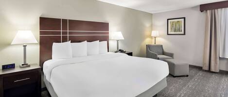 Habitación de hotel con una cama grande, dos mesitas de noche con lámparas, una silla y un cuadro en la pared.