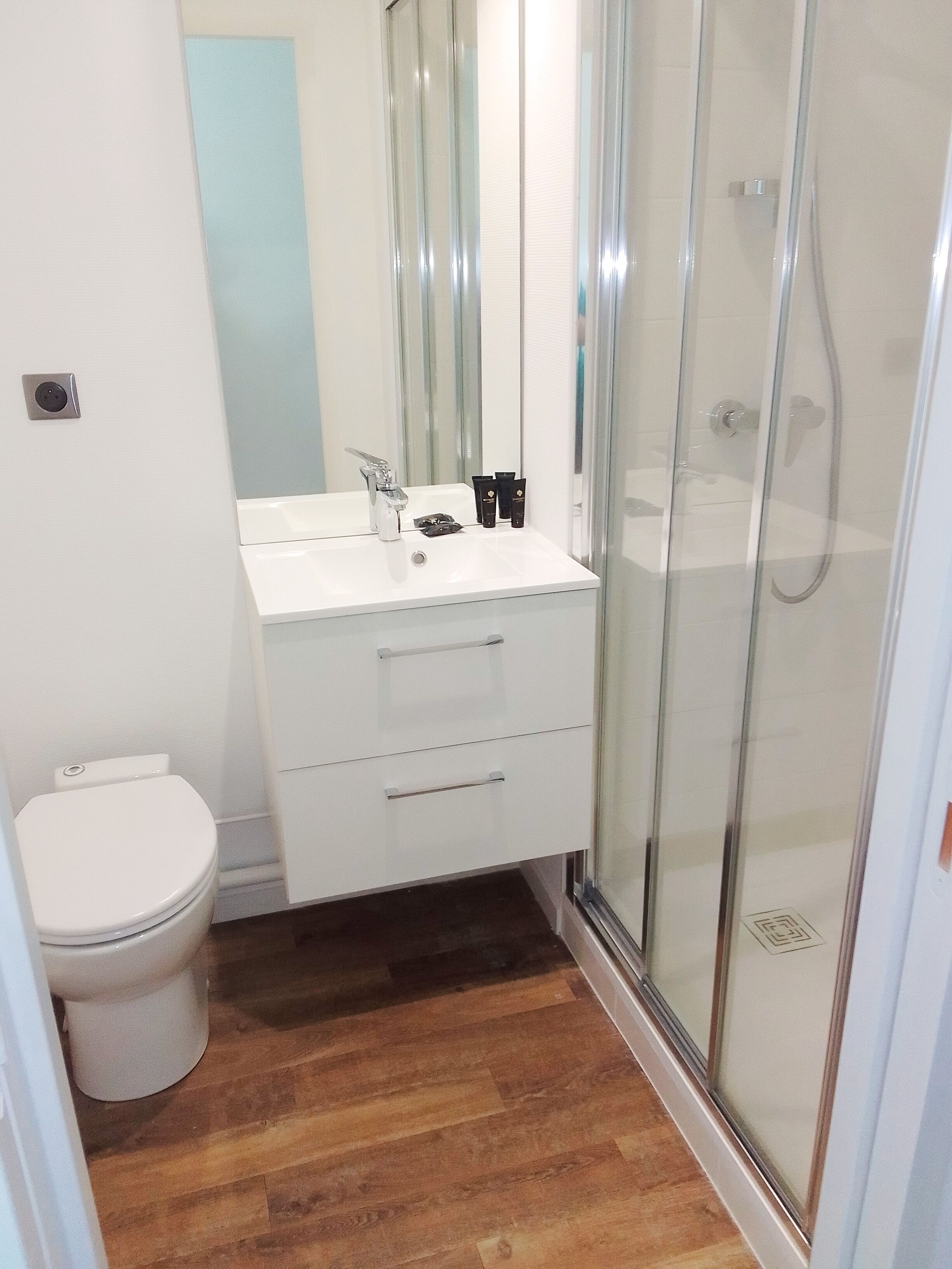 A bathroom with a white toilet, a sink with a mirror above it, and a glass shower enclosure.
