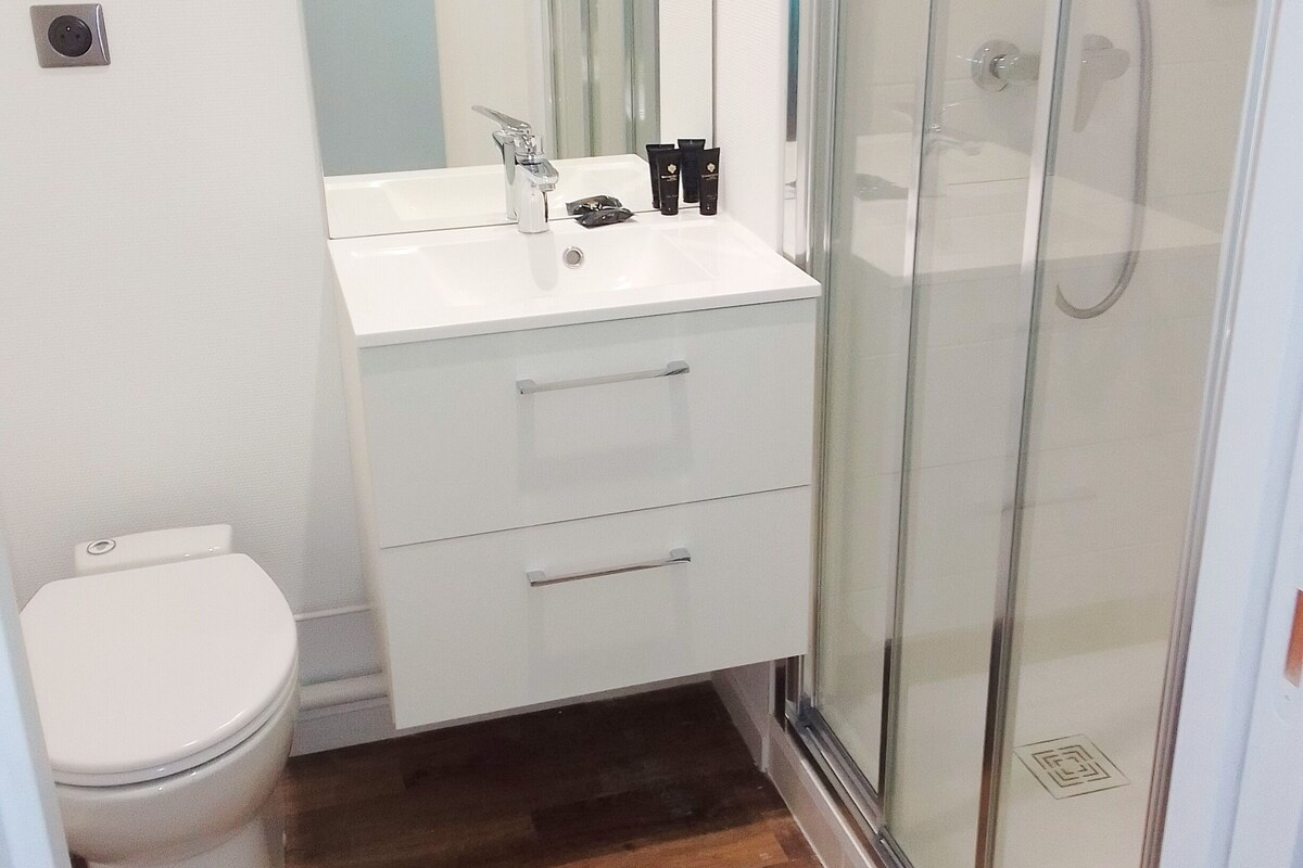 A bathroom with a white toilet, a sink with a mirror above it, and a glass shower enclosure.