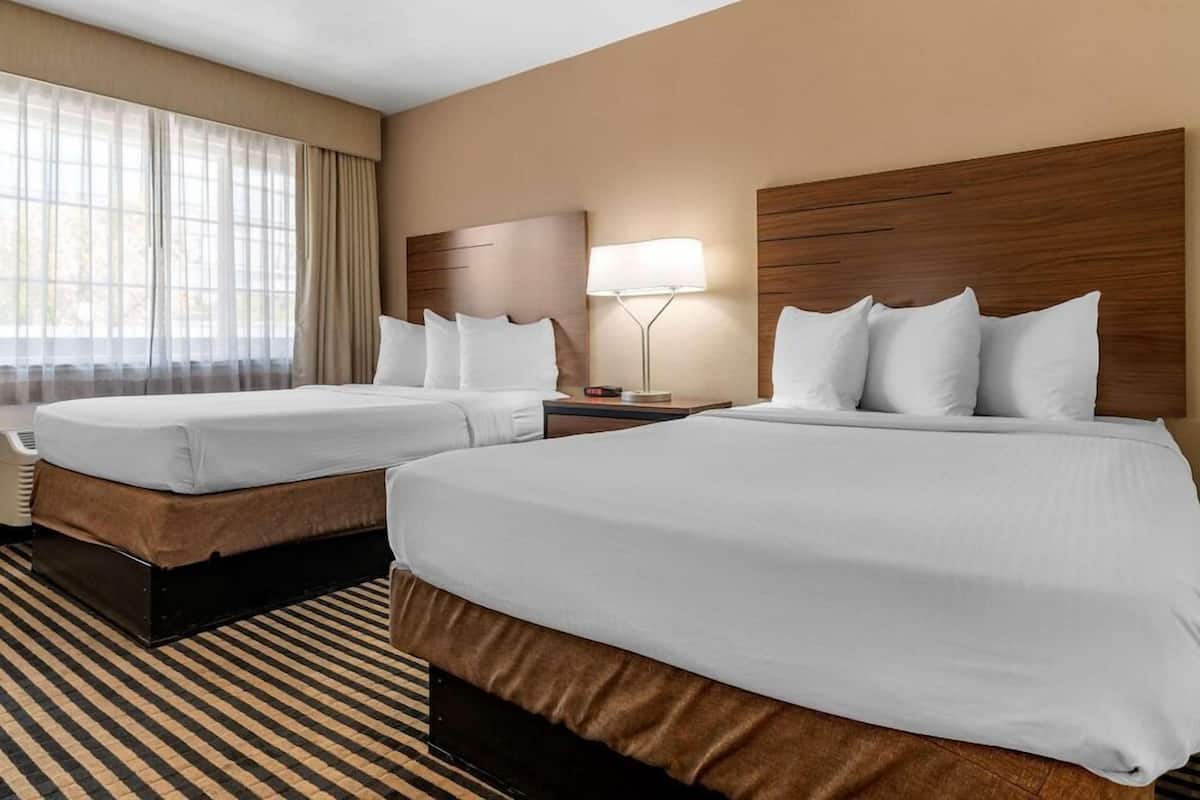 A hotel room with two beds, a large window with curtains, a bedside table with a lamp, and a striped carpet.