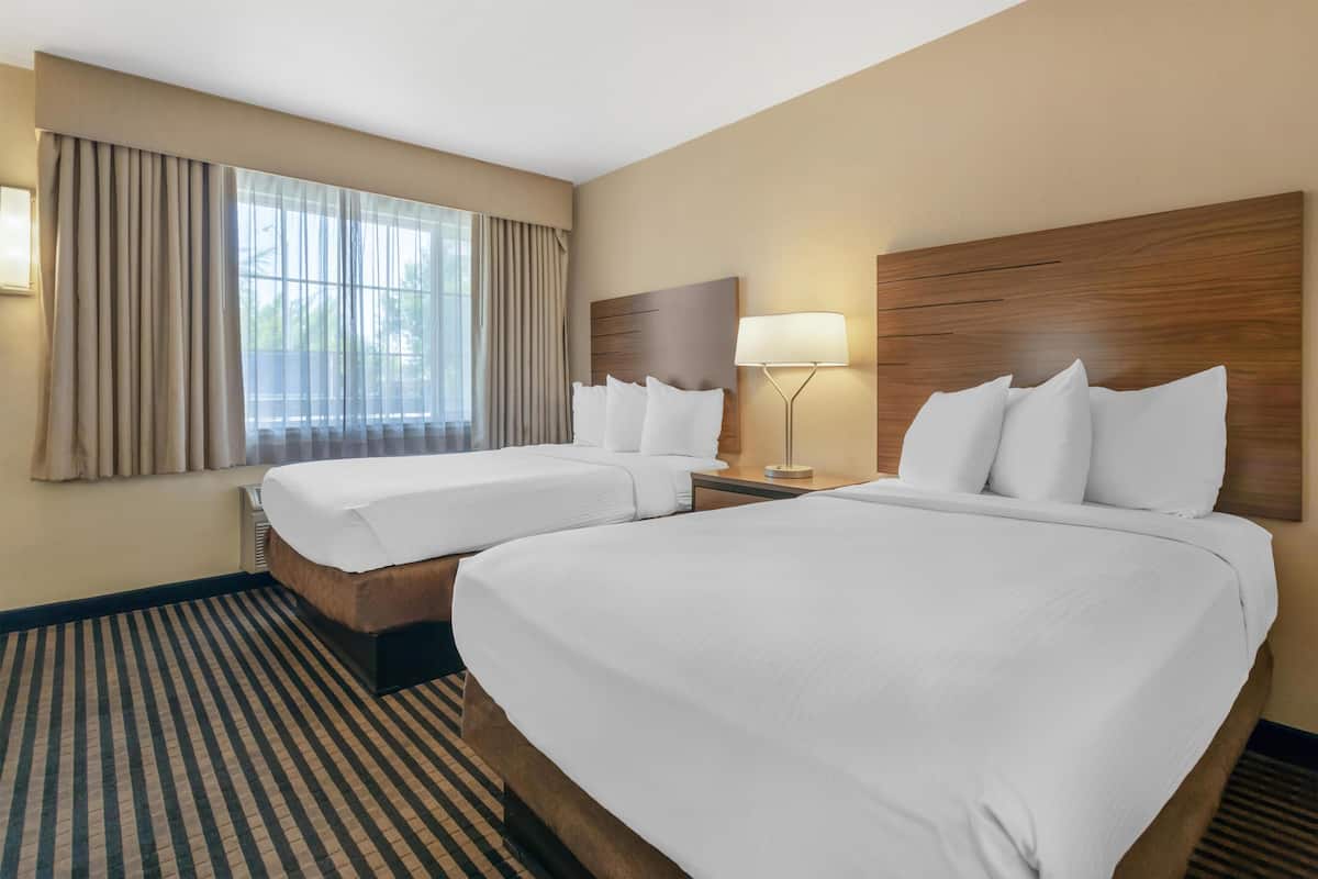 A hotel room with two beds, a large window with curtains, a bedside lamp, and a striped carpet.