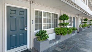 Una hilera de ventanas con marcos blancos, una puerta azul oscuro y macetas con plantas verdes.