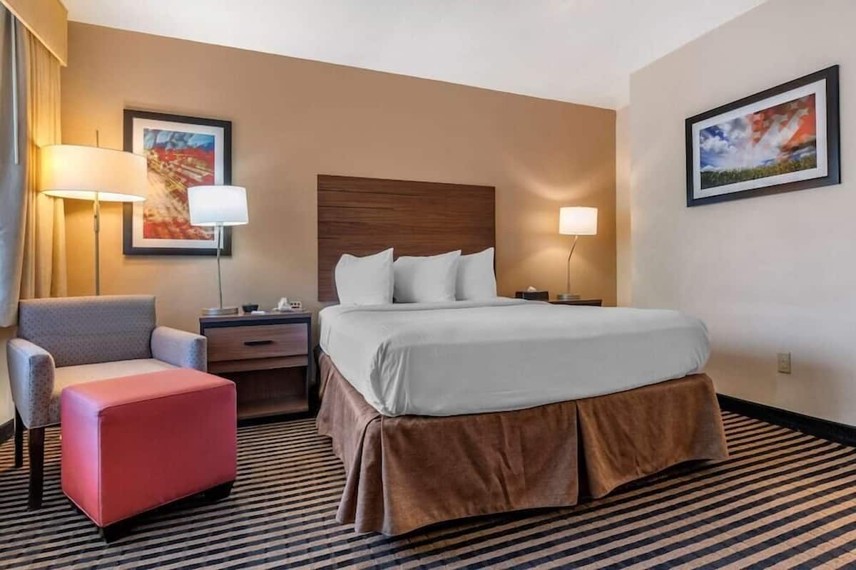 A hotel room with a bed, a chair, a nightstand, a lamp, and a picture on the wall.