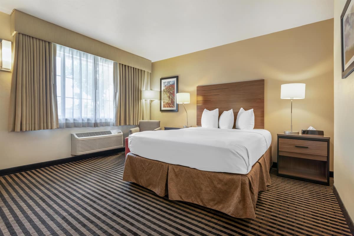 A hotel room with a large bed, a bedside table, a lamp, a window with curtains, and a wall-mounted air conditioner.