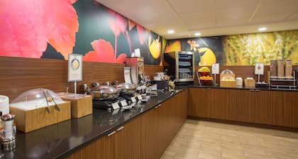 Comfort Inn - Dedham-Boston MetroWest
