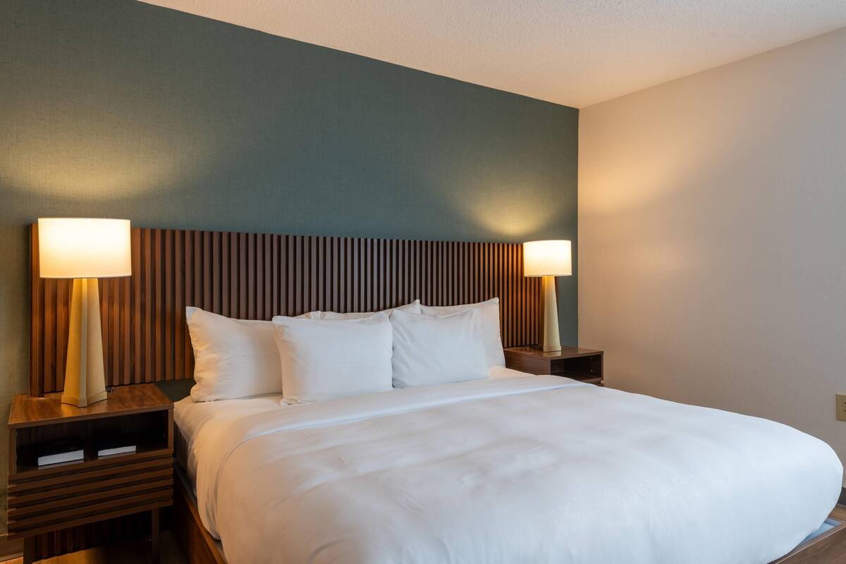 Suite, 1 King Bed with Sofa bed, Non Smoking | Desk, blackout drapes, iron/ironing board, cribs (free)