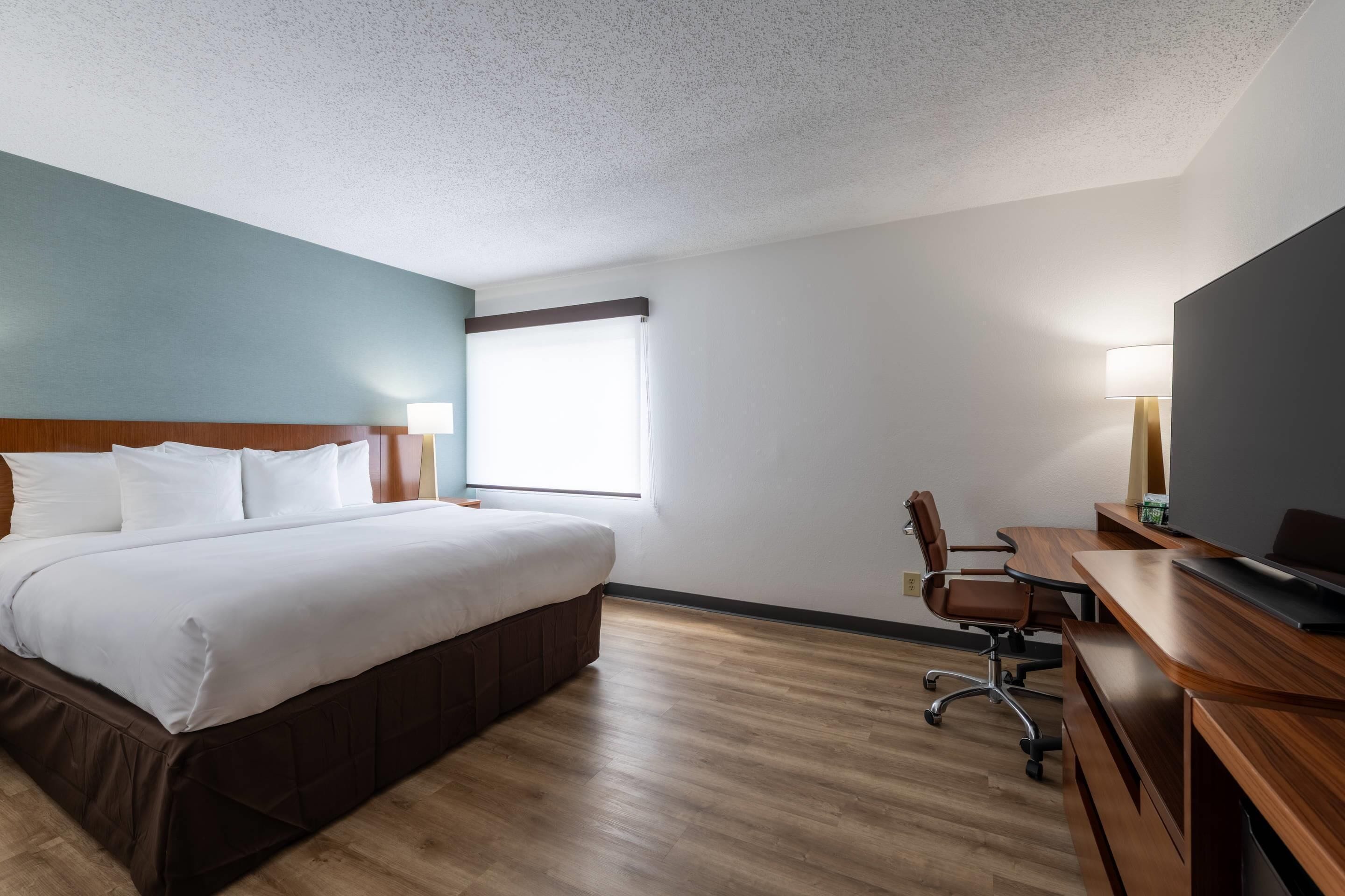 Habitación estándar, 1 cama King size, para no fumadores | Escritorio, cortinas blackout y tabla de planchar con plancha 