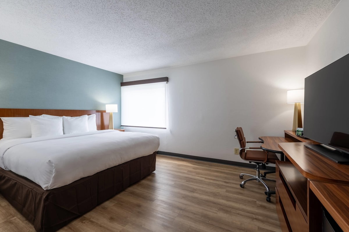 Habitación estándar, 1 cama King size, para no fumadores | Escritorio, cortinas blackout y tabla de planchar con plancha