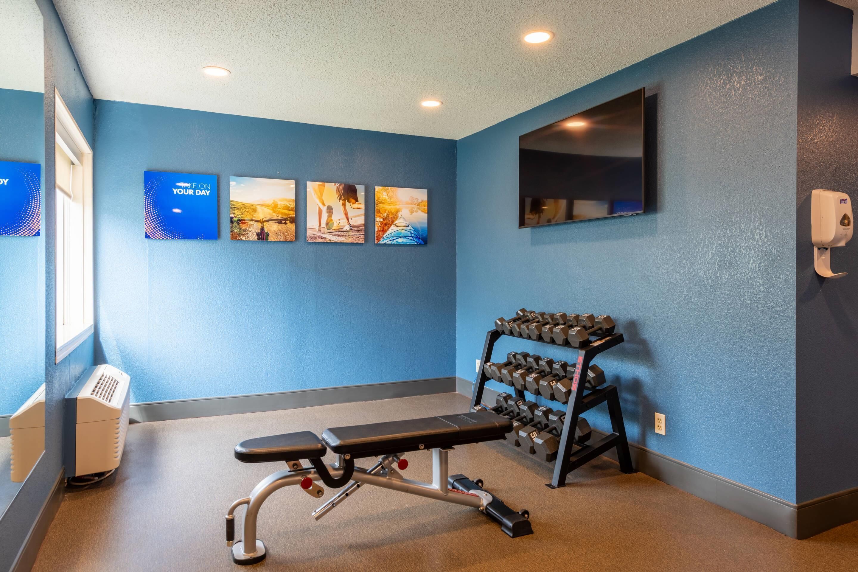 A fitness room with a bench, dumbbells, and wall art.