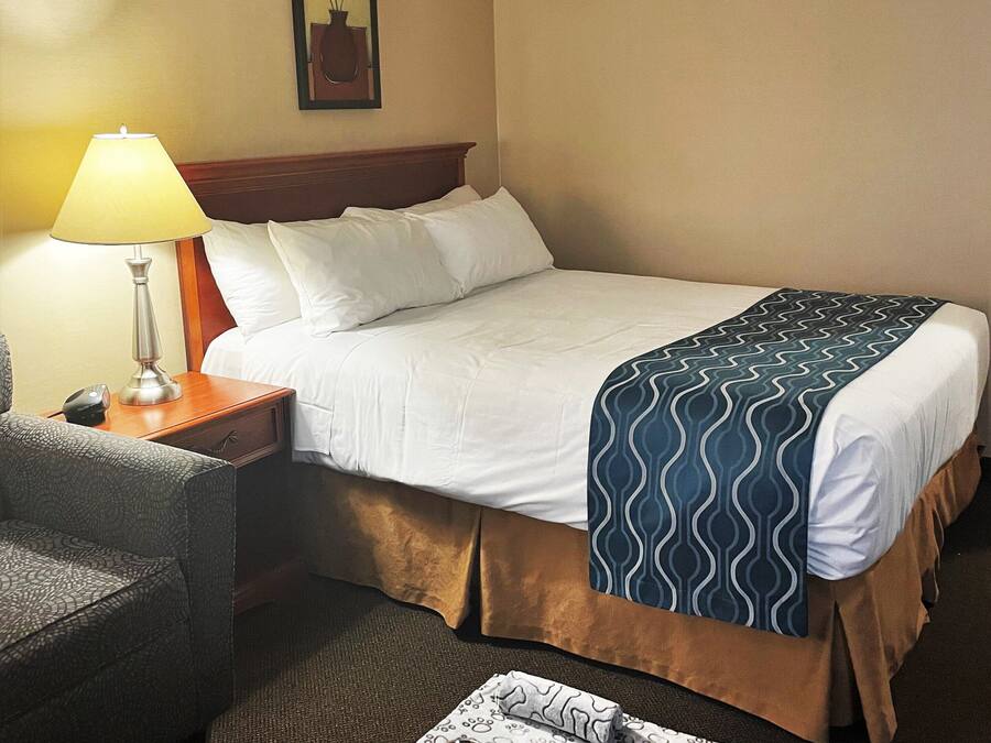 A hotel room with a bed, bedside table, lamp, chair, and a small table with bowls and a tissue box.