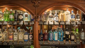 A liquor store with shelves of various gin bottles.