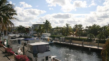 Eksteriør