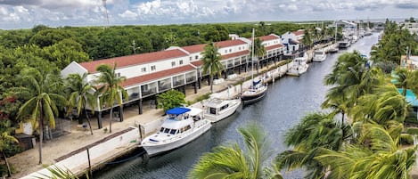 A marina with boats docked along a waterfront, surrounded by lush greenery and residential buildings.
