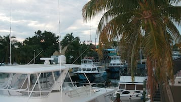 A marina with several boats docked, a palm tree, and a building in the background.