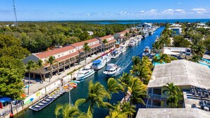 Un puerto deportivo con barcos amarrados a lo largo de una costa, rodeado de edificios y palmeras.