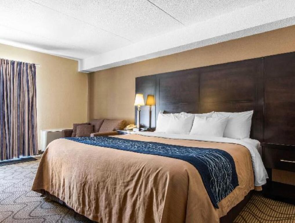 Premium bedding, pillow-top beds, desk, blackout curtains