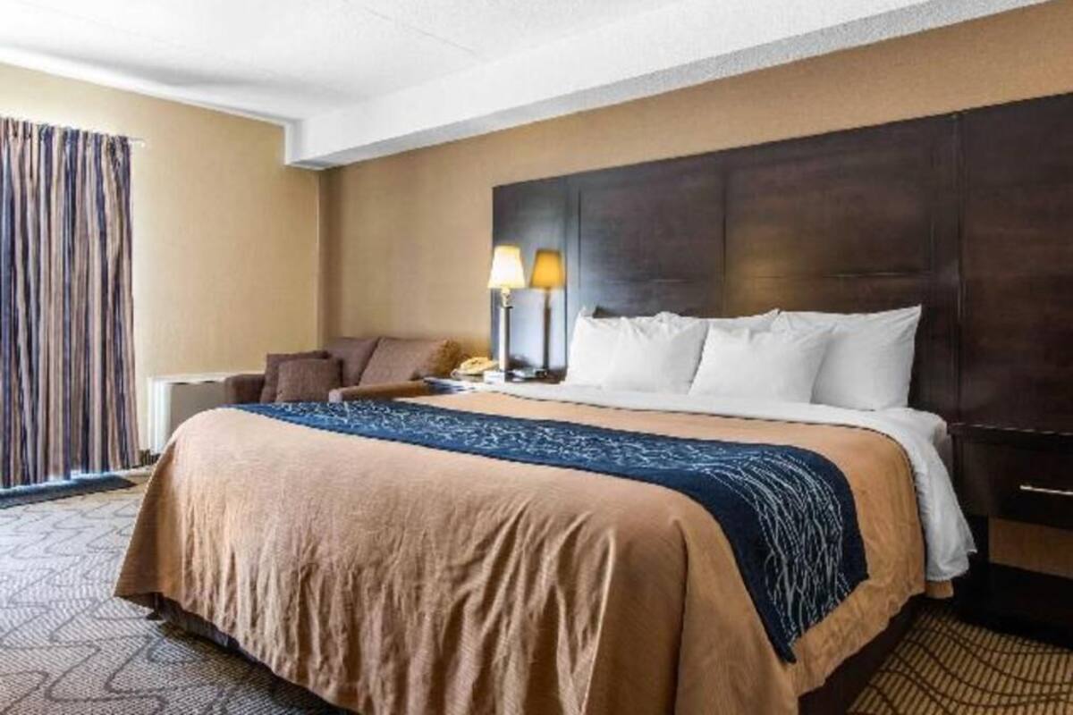 A hotel room with a large bed, a nightstand, a lamp, and a view of the outside.
