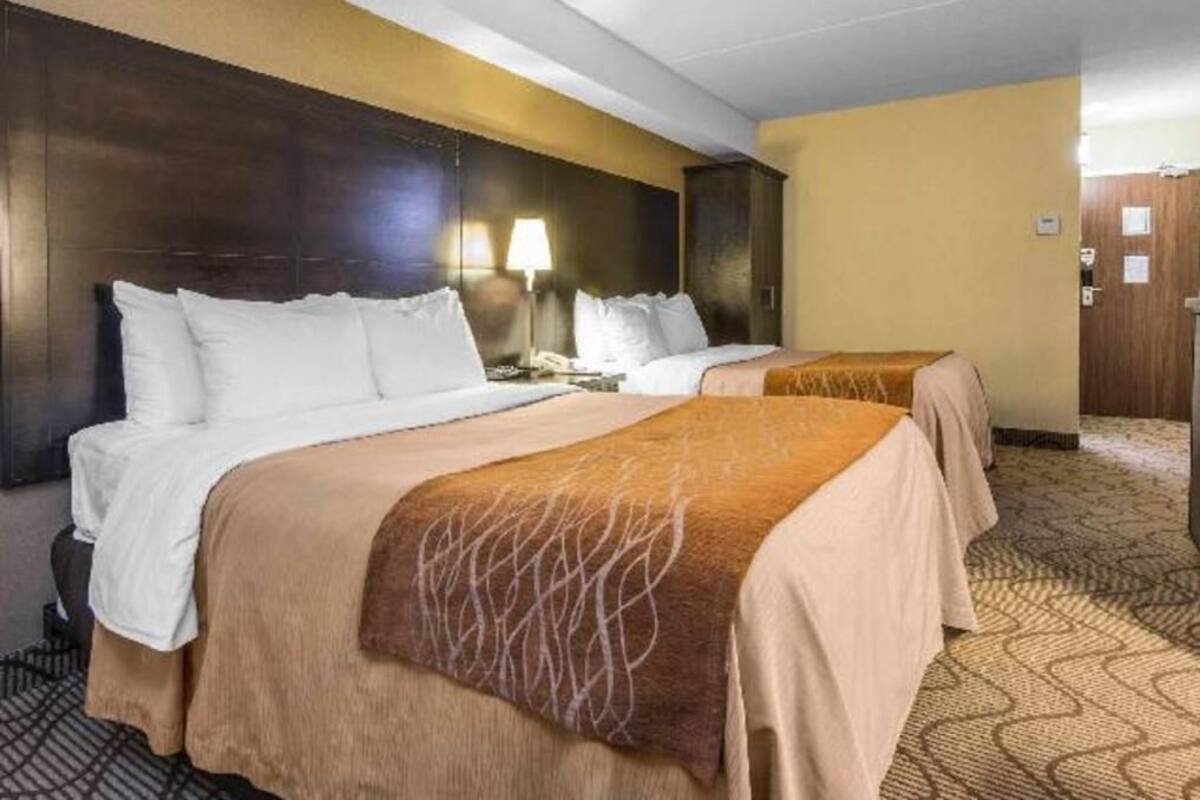 A hotel room with two beds, a dark headboard, a lamp, and a patterned carpet.