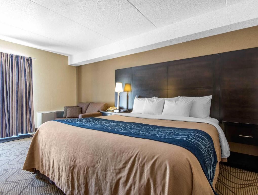 Premium bedding, pillow-top beds, desk, blackout curtains