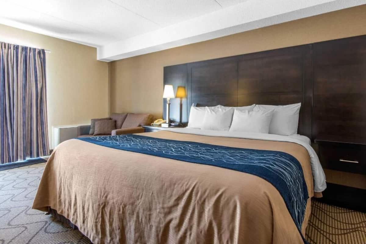 Premium bedding, pillow-top beds, desk, blackout curtains