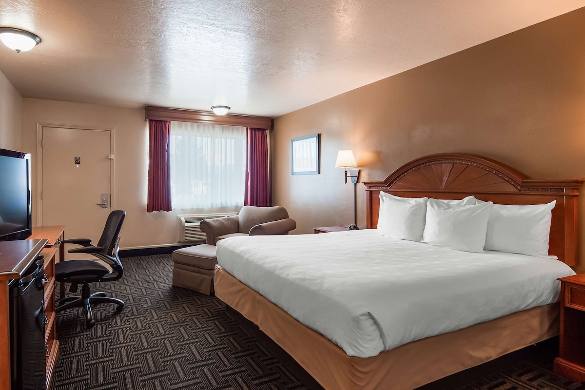 A hotel room with a large bed, a desk with a TV, a chair, and a desk lamp.