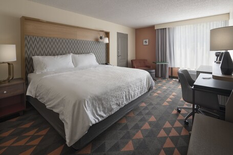 Holiday Inn Asheville Biltmore, an IHG Hotel - Image 44