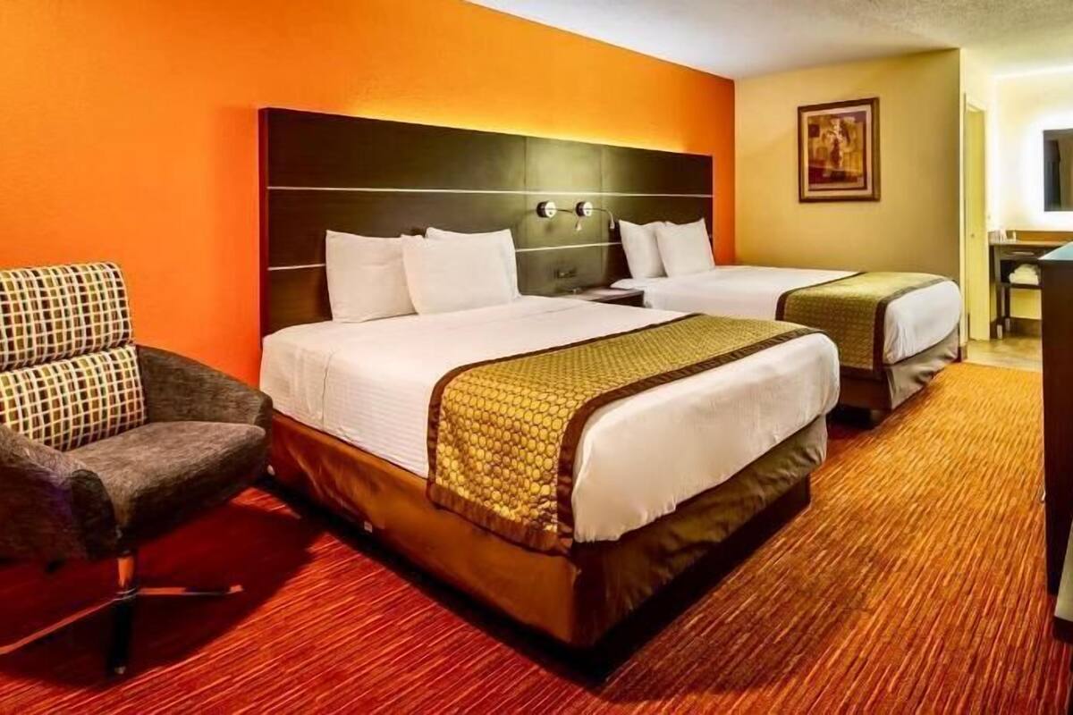 Roupas de cama de algodão egípcio, roupas de cama premium