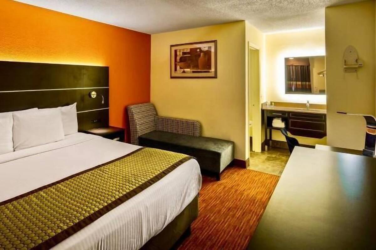 Roupas de cama de algodão egípcio, roupas de cama premium