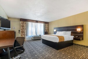 Sábanas de algodón egipcio, ropa de cama de alta calidad y cubrecamas 