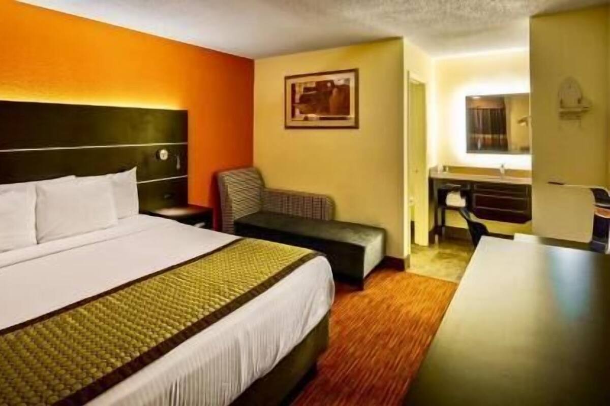 Roupas de cama de algodão egípcio, roupas de cama premium