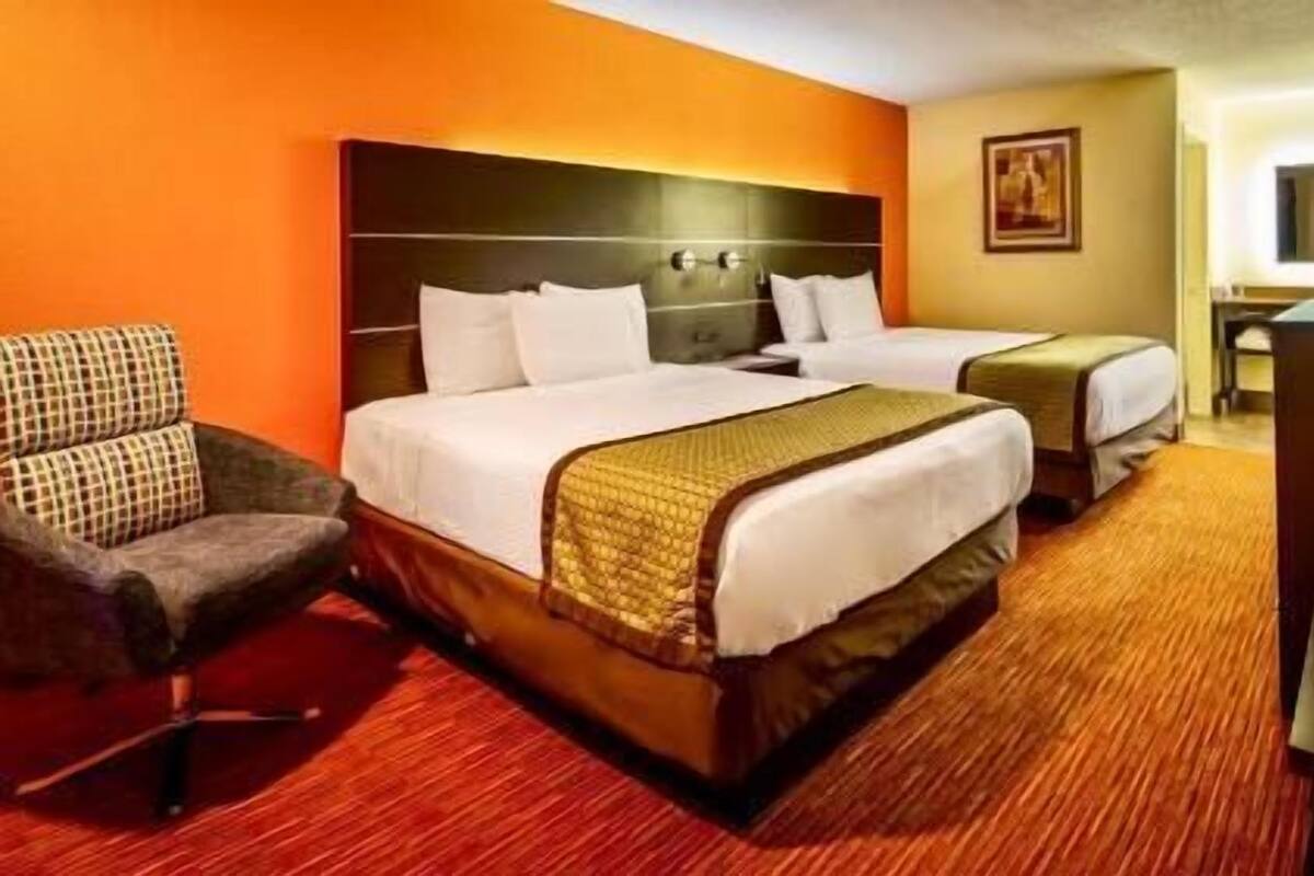 Roupas de cama de algodão egípcio, roupas de cama premium