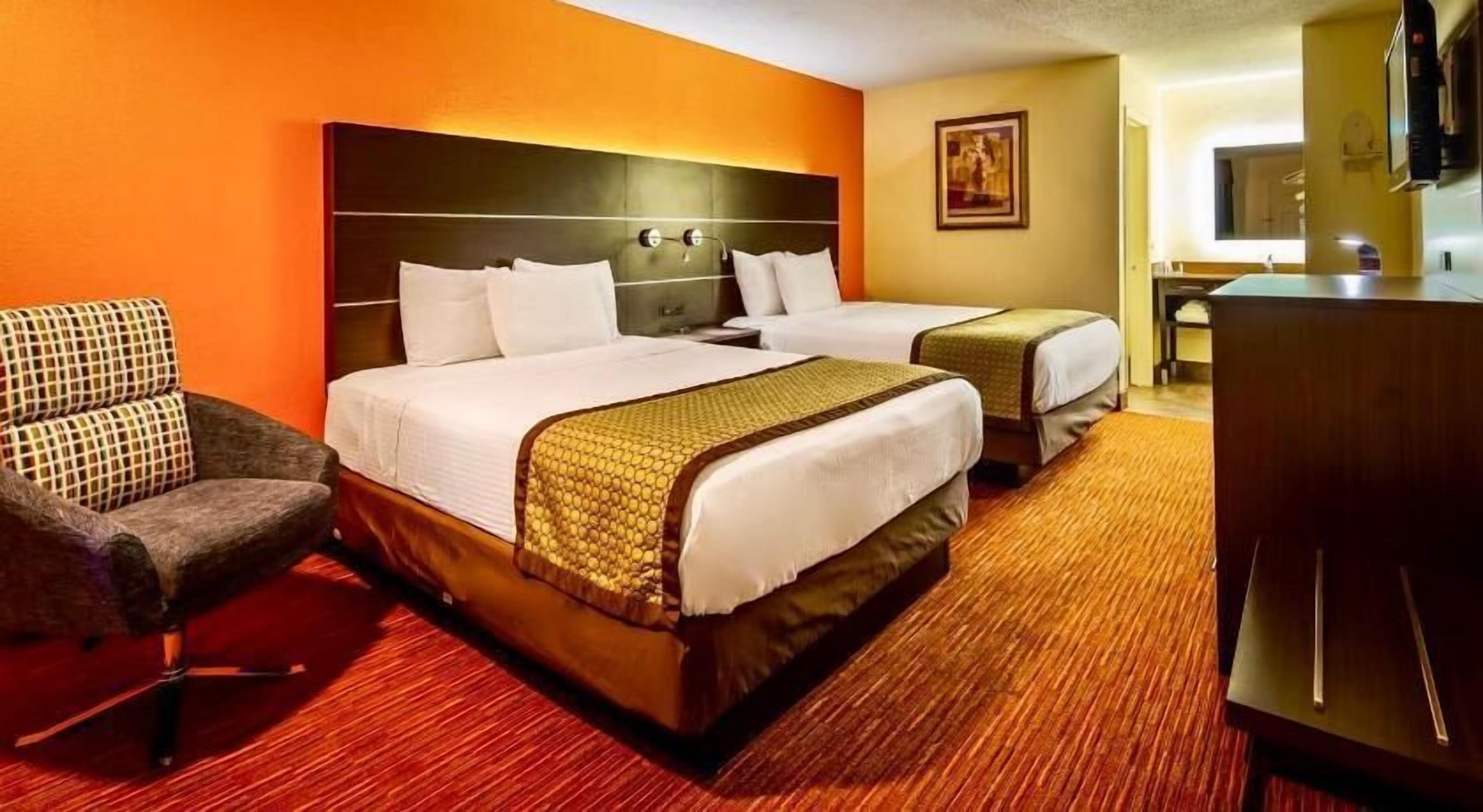 Roupas de cama de algodão egípcio, roupas de cama premium