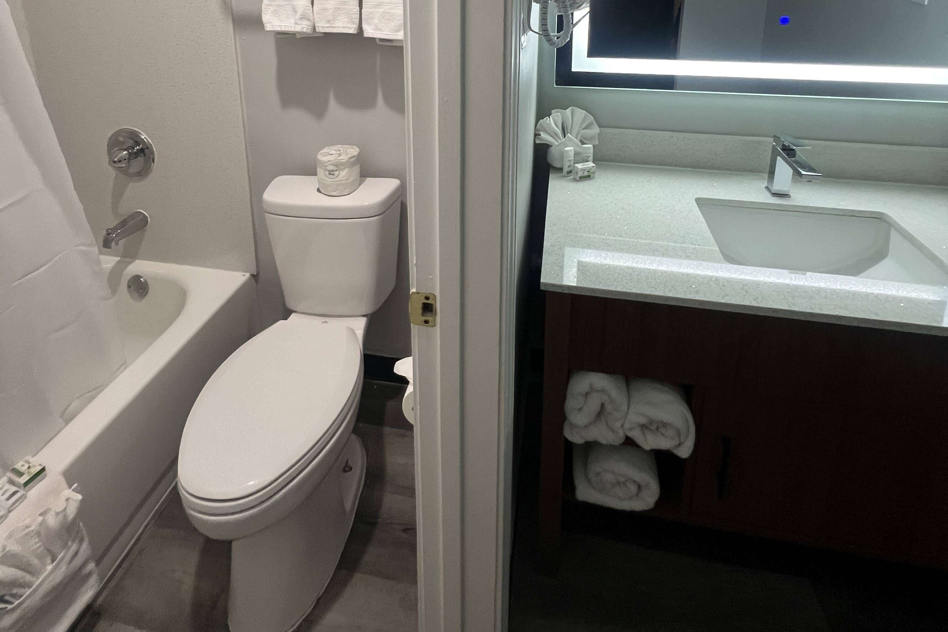A bathroom with a white toilet, a bathtub, a sink, and a mirror.