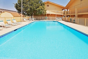 Outdoor pool, sun loungers