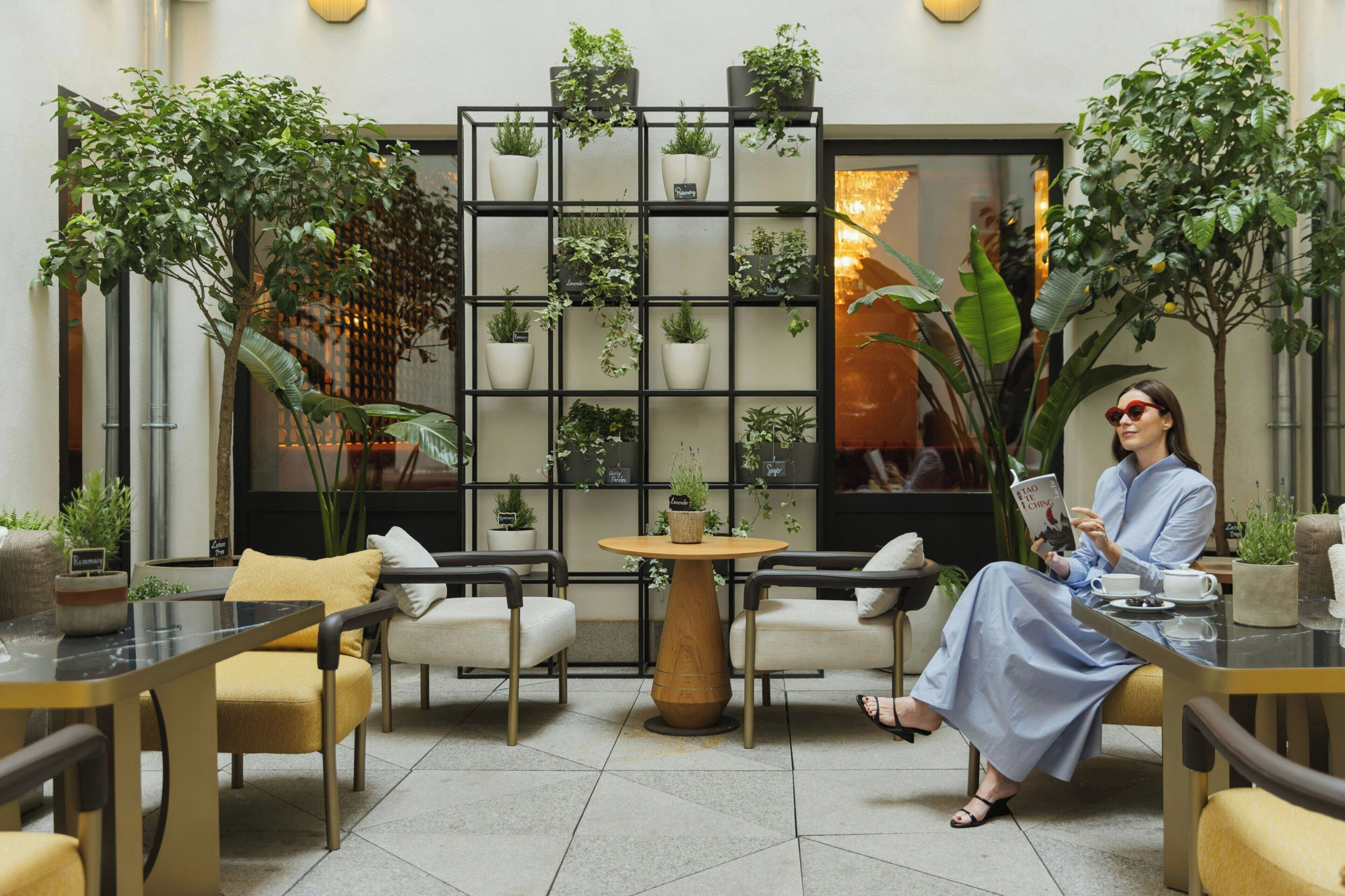 A woman seated at a table reading a book in a well-lit indoor space with multiple chairs, tables, and a variety of potted plants.