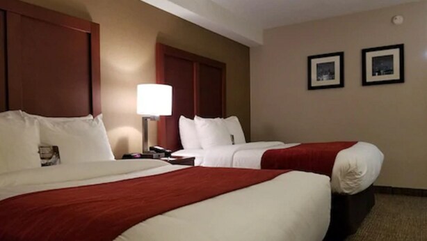 Premium bedding, desk, iron/ironing board, WiFi (free) - Comfort Inn Toronto North (Toronto)